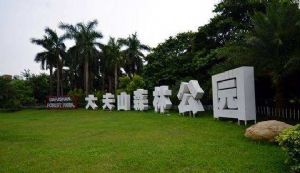 放飛自我 擁抱自然｜我們與大夫山有個美好的邂逅！