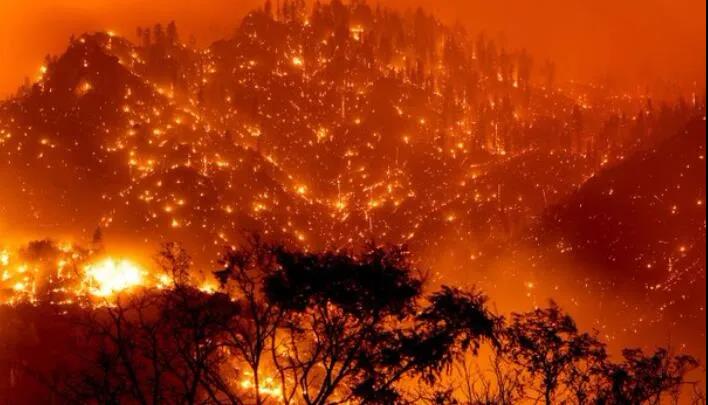 美國(guó)104處大規(guī)模山火在燃燒 過(guò)火面積超9700平方公里