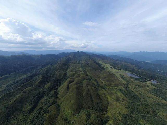 羅坑鱷蜥保護(hù)區(qū)首次發(fā)現(xiàn)鴛鴦