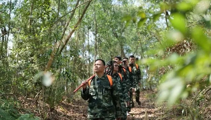 東莞1059名林長到崗 林長是多大的&ldquo;官兒&rdquo;